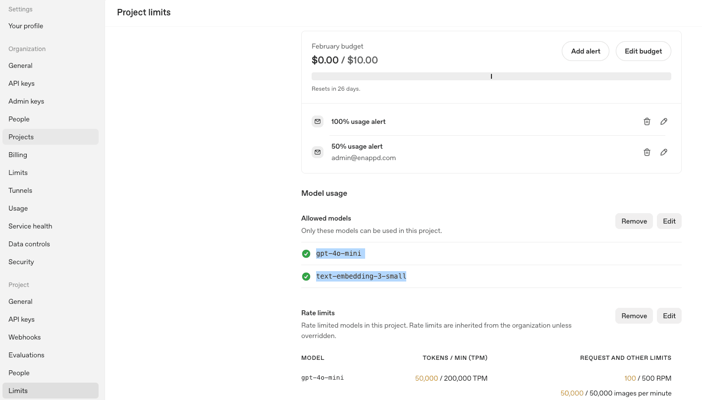 openAI Project settings